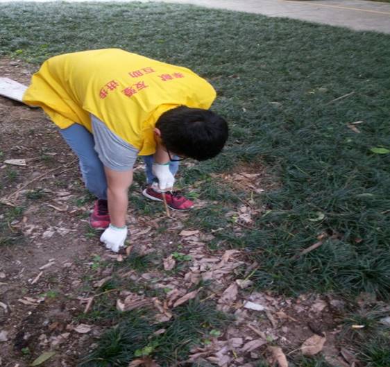同学对草丛中的垃圾进行清理